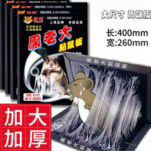 现货猫咪王老鼠板大号老鼠贴捕鼠板强力粘鼠板厂家批发可一件代发