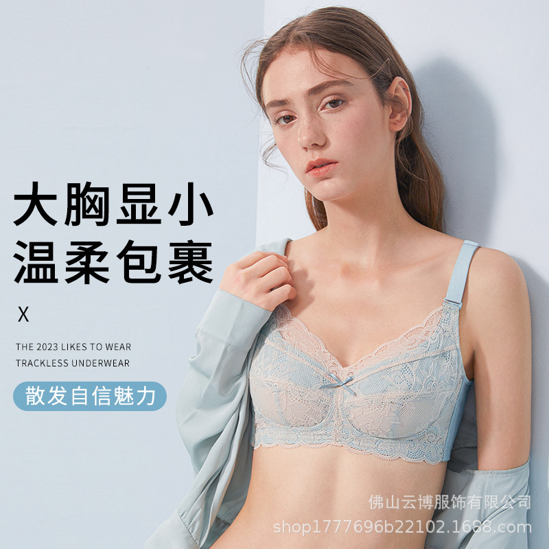 Ultra-Thin Sexy Intimates for Women with Big Breasts, Push-Up, Auxiliary Breast Reduction, Anti-Sagging Lace, Wire-Free Bra for Summer Ultra-Thin Sexy Intimates for Women with Big Breasts, Push-Up, Auxiliary Breast Reduction, Anti-Sagging Lace, Wire-Free Bra for Summer
