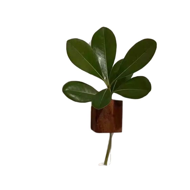 木の冷蔵庫に試験管を貼って花瓶を挿します。|undefined