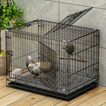 鸽子笼双层家用鸟笼子大号信鸽笼鸽舍鸽子喜鹊专用加密隔断配对笼