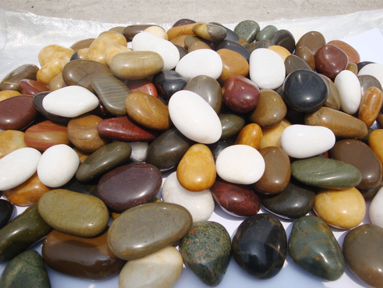 c80f8078-1ba1-4815-83a4-687863685c6f.jpe