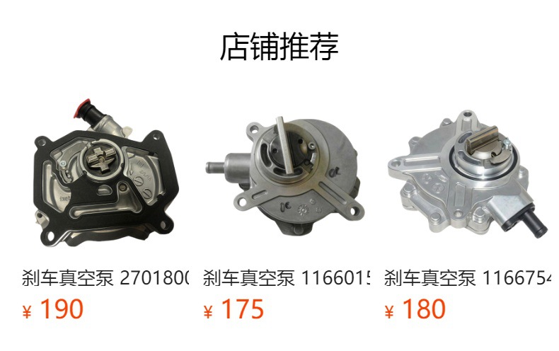 Brake Vacuum Pump 1119420