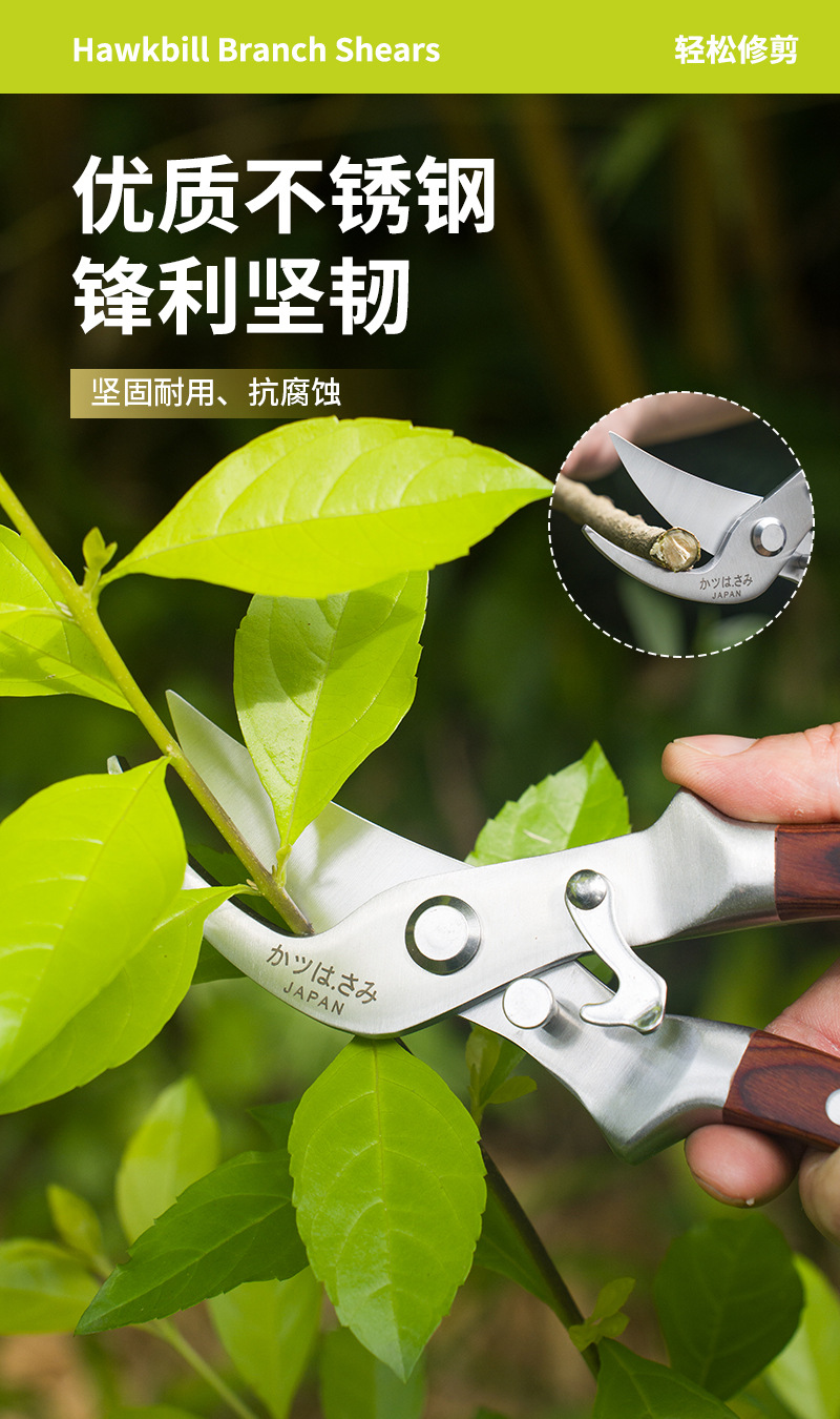 详情_07.jpg