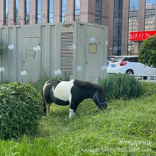 ���^�����T�Č��ﰫ�R�������u�� ���B��ͯ�T�˰��R �T�˴��R���U