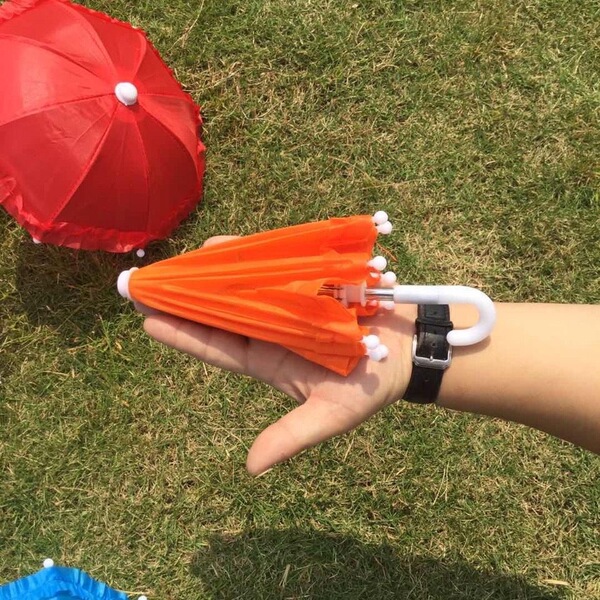 Locomotive umbrella