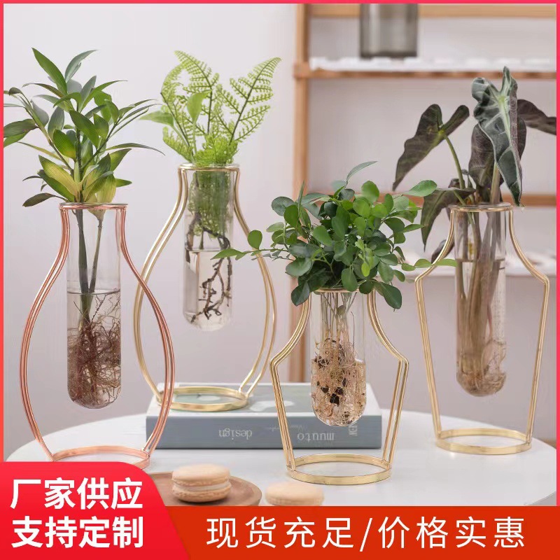 Jarrón de cristal estilo INS, soporte de flores de cristal con arte en hierro dorado para sala de estar, cafetería, mesa de centro, flores secas, flores hidropónicas, plantas verdes.