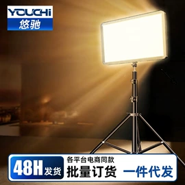 太阳能灯;电子灭蚊器;灭蚊灯