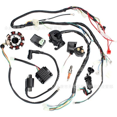 Quad Atv Beach Vehicle Accessories 150 200 250Cc Three-Hole Complete Wiring Harness Ignition System Cdi (Power supply, ignition system accessories)