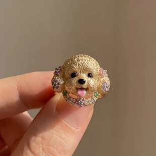 ����Ȯ���䡹�ɐ������L������ָС���r��̩�������OӋ�W���hָ�h