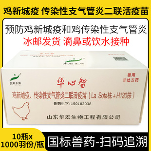 �A����֧������120�³����u��֧�����ˮ�α��u�������֧����