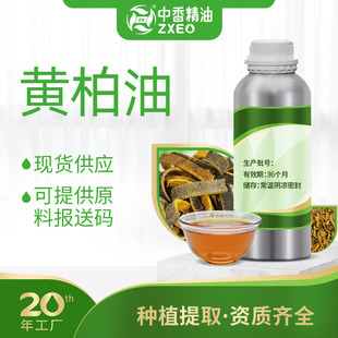 �n�g���S���Ͱ��g���㸽�ͱ�����ș�͏S�ҬF؛���yƷԭ���n�g����