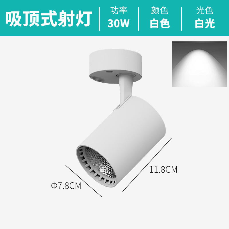 Ceiling white Fumei style-[white shell] 30W