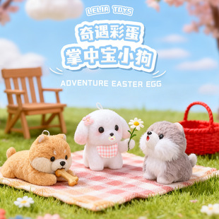 ����������Ќ�С�������ʵ�ä�����k�_ĦҮ��ʿ�湷��ë�q��ż