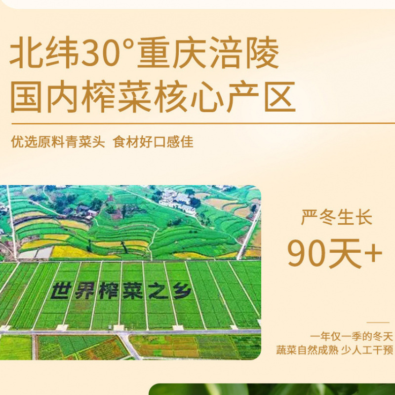 Fuling Pickled Mustard Cuiyi フルボックス皮むきピクルス細切りピクルス卸売非スパイシー 50 グラム|undefined