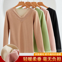 VIٽz½qůŮʿӽql͸ǼӺŮ