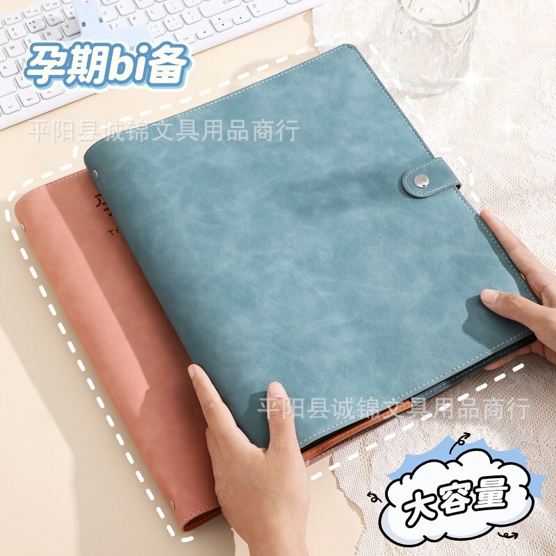 Prenatal Check-Up and Pregnancy Test Storage Folder, Report Sheet Storage Bag, Pregnant Mother's Ultrasound Record Book, Pregnancy Check-Up and Prenatal Care Package