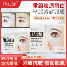 �����f����ͬ���zԭ������Ĥ�N�o�¿������y������Ȧ�۴�����Ժ��