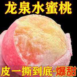 四川龙泉驿水蜜桃超甜爆汁软桃新鲜应季当季孕妇水果可撕皮吃批发