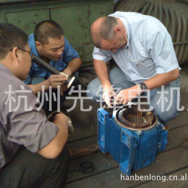厂家供应进口电机维修服务电动