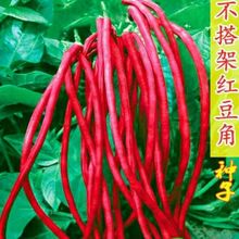 MؼtoܶNӴȫٶǷNԭbNӴȫll