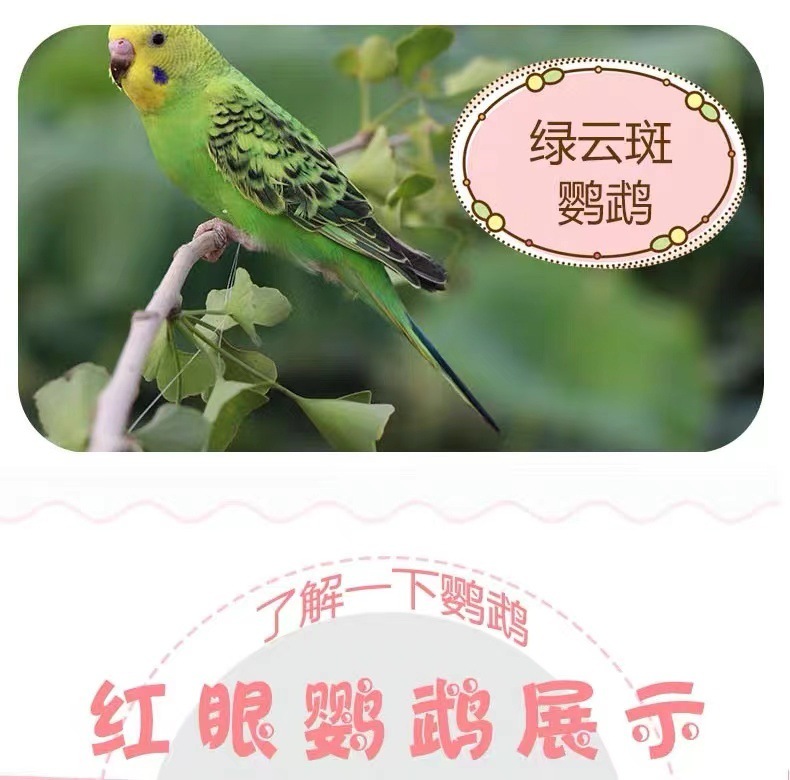 5a6d2ed8-573b-46fb-82e9-508b785ae205.jpe