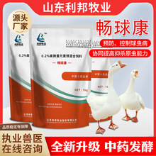 șAίxușș ǵѿߗU ușuxș