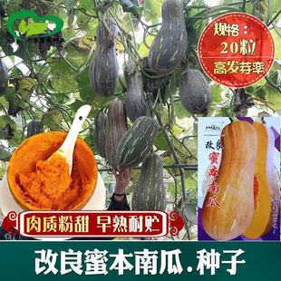 �۱��ϹϷN���ش����ڸ����������@ͥԺ���ٹϹ��߲�