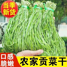 【贡菜干】新货贡菜无叶干贡菜新鲜苔菜干苔干菜苔菜农家火锅食材