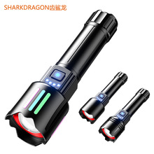 �羳�¿�׼���LED���ͲType-C��늑���׃���������������Ͳ