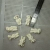 4cm rice white bear