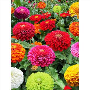 ���ղݻ��N�����ļ����N�_�������ذ���ղ��׻��҃�����վջ���