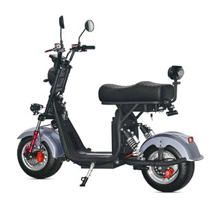 巴西款熱賣EEC DOT成人代步車二輪摩托車哈雷電動車M4巴西倉直發