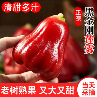 ��S/���|�ڽ���ɏ�F�a�ظ���ֱ�l����ˮ��ɏ�F���]���rˮ��ɏ�F