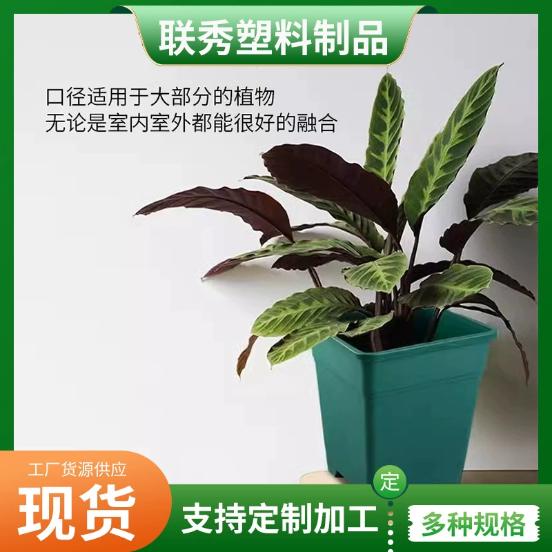 Зеленая галоновая горшка балкон бонсай розовая горшок толстый корень контроля корня галлона горшок пластиковый цветочный горшок
