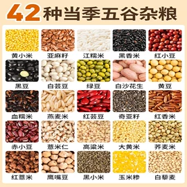 其他香辛料;代用/养生茶;其他药食同源