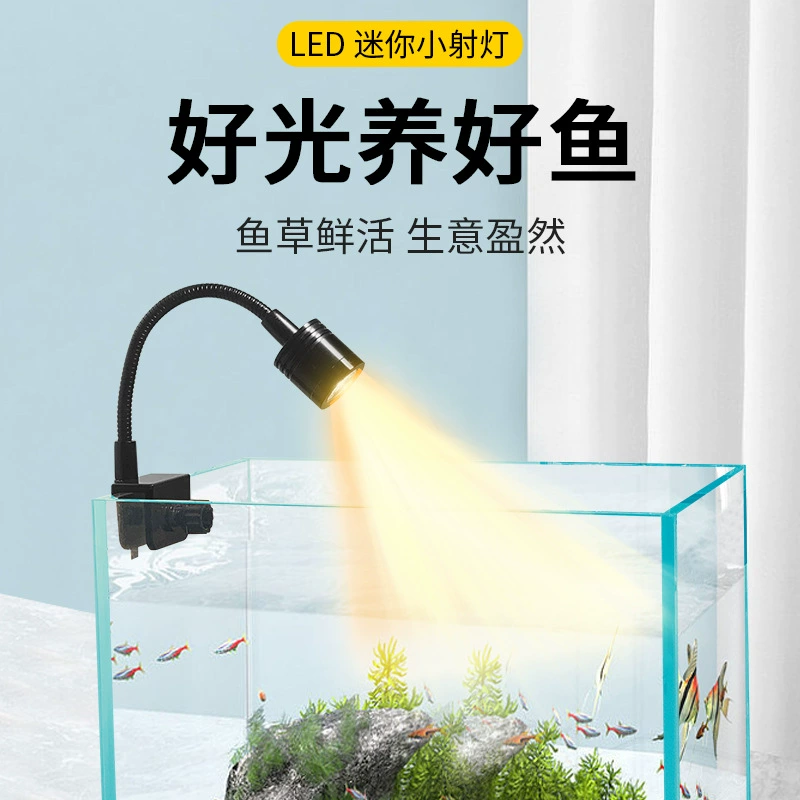 Small aquarium, LED lights, waterproof fill light