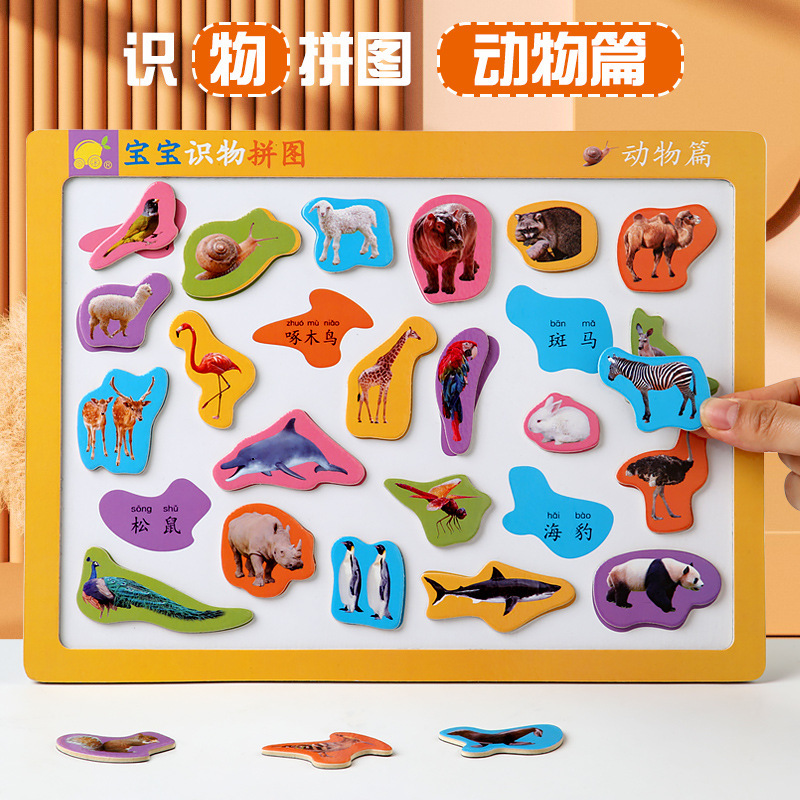Ver imágenes, alfabetización, rompecabezas magnéticos, iluminación para bebés, alfabetización, ayudas didácticas Montessori para niños, educación temprana para niños, juguetes magnéticos educativos