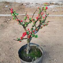 ���Ļ�����ͥԺ�ļ����Ę��玧�����ͺ��͟��׻��ذ��҃Ȼ��ܾGֲ