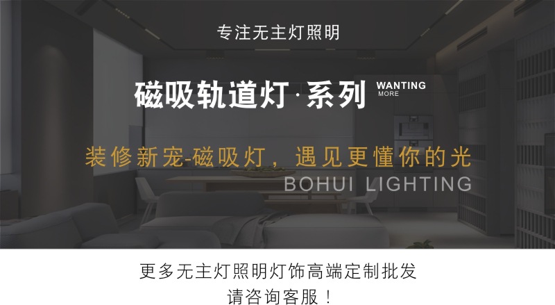 BH磁吸轨道灯1