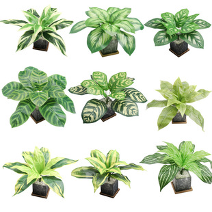 �S��ֱ���������� ���W�Ҿӿ͏d�b�����[��������~��