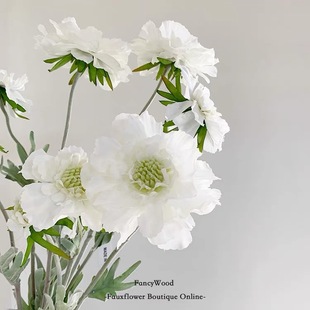 ���滨���x�ݼٻ����^��ֲ�q�yɏ���Ҿӿ͏d�[�ŔzӰ�����b廨