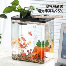 鱼缸小型客厅2025新款高级造景生态缸过滤制氧一体机家用鱼缸衣箱