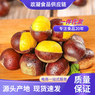 �ӱ��w�������� ���l1/3��������������ë�������r�Ͱ��ڷǵ��|��