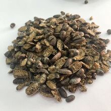 ��D�x ��D�x ��ʭ �����x ���x ��؛ ���]�ɴ����؛��؛