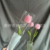 Tulip pink