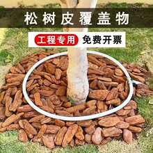 ���l�ɘ�Ƥ�ЙC���w����������������[ͥԺ��Ѩ�@ˇ�쾰���@�b�