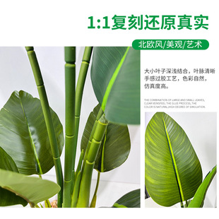 ˽ 10~b~GֲԿ͏dֲ˽