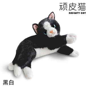 �羳��ͨ�ɐ۷���؈��ë�q��߳���ſ��؈��ż��鹫�жY������