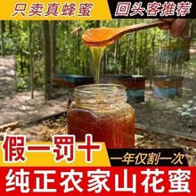 土蜂蜜农家笨蜂蜜百花蜜蜂巢蜜自然成熟天然野生正宗深山野蜂蜜