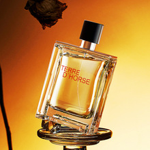 小城伊香TERRE大地男士香水100ml持久留香木质香调外贸古龙香水厂